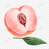 星辰视频下载官方版APP应用